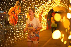 BIB: 
                            <button type="button" onclick="openModal(21750216)" class="btn btn-primary btn-sm float-right btn-popup" data-toggle="modal" data-target=".modal-high-quality">
                        <i class="fas fa-shopping-cart"></i> Add to Cart
                    </button>
                                            <button type="button" onclick="isThisMe(21750216, true)" class="btn btn-success btn-sm float-right btn-popup btn-isme hidden" data-toggle="tooltip" data-placement="bottom" title="นี่คือรูปของคุณใช่ไหม คลิกที่นี่เพื่อเอาเข้าอัลบั้ม">
                        <i class="fas fa-plus"></i> Add to album
                    </button>
                    <button type="button" onclick="isThisMe(21750216, false)" class="btn btn-warning btn-sm float-right btn-popup btn-isnotme hidden">
                        <i class="fas fa-ban"></i> Remove from album
                    </button>